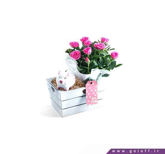تزیین سبد گل با عروسک - سبد گل نوزاد تلناز - Talnaz | گل آف